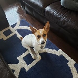 Meet your Posher, DMama8